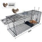Heavy Duty Humane Squirrel Trap Cage – Live Catch & Release Folding Trap for Squirrels