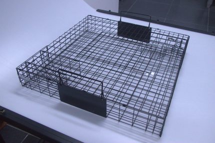 Squirrel Cage – Humane Indoor & Outdoor Solution for Squirrels & Chipmunks, Durable Black Design