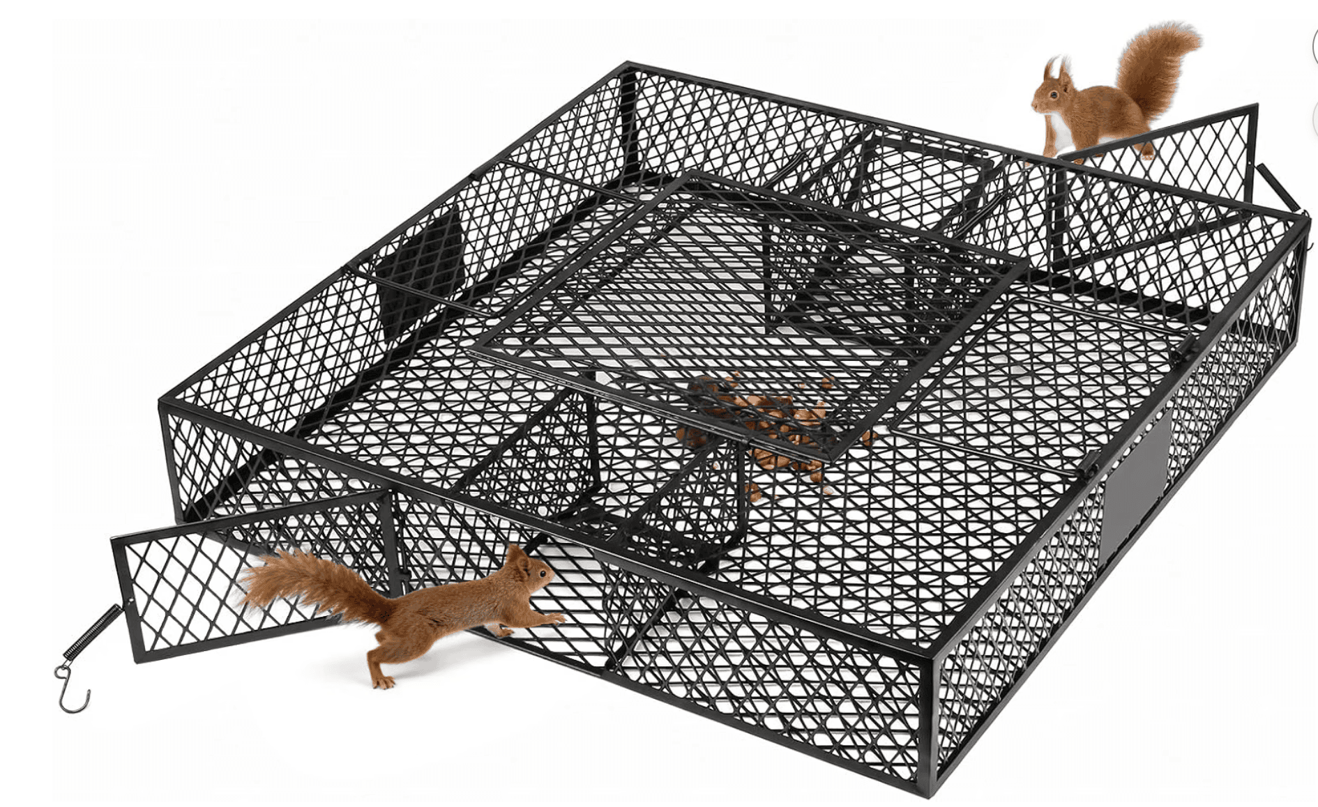 微信图片_20260921152613_161_2 - 副本 Squirrel Cage – Humane Indoor & Outdoor Solution for Squirrels & Chipmunks, Durable Black Design - Image 2