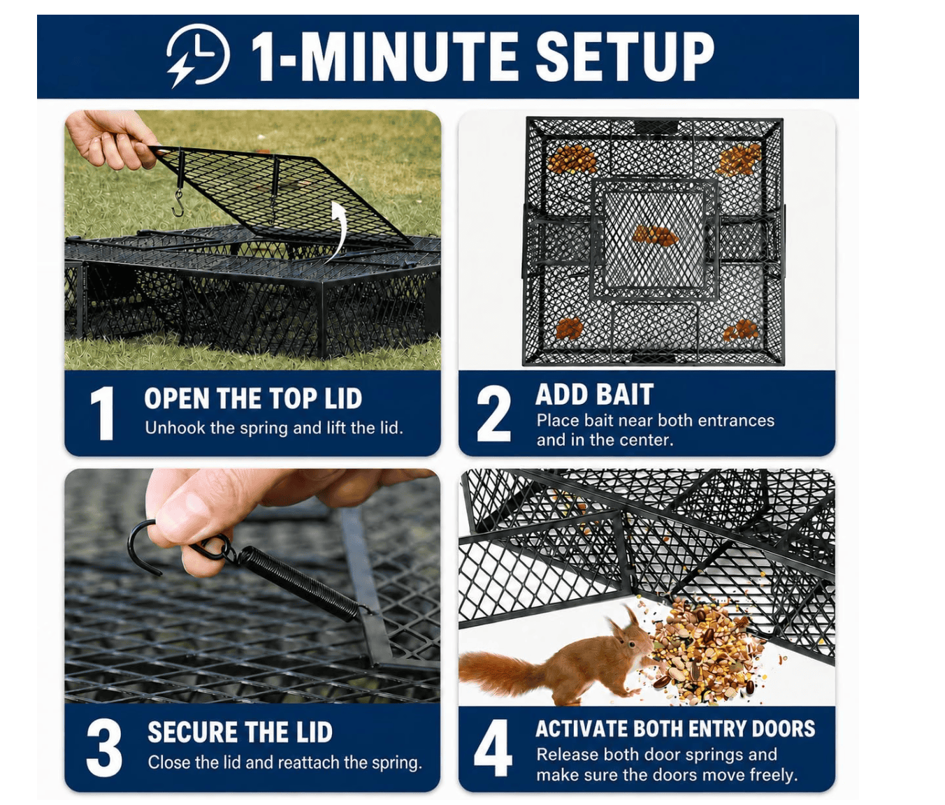 微信图片_20260921152639_163_2 - 副本 Squirrel Cage – Humane Indoor & Outdoor Solution for Squirrels & Chipmunks, Durable Black Design - Image 4