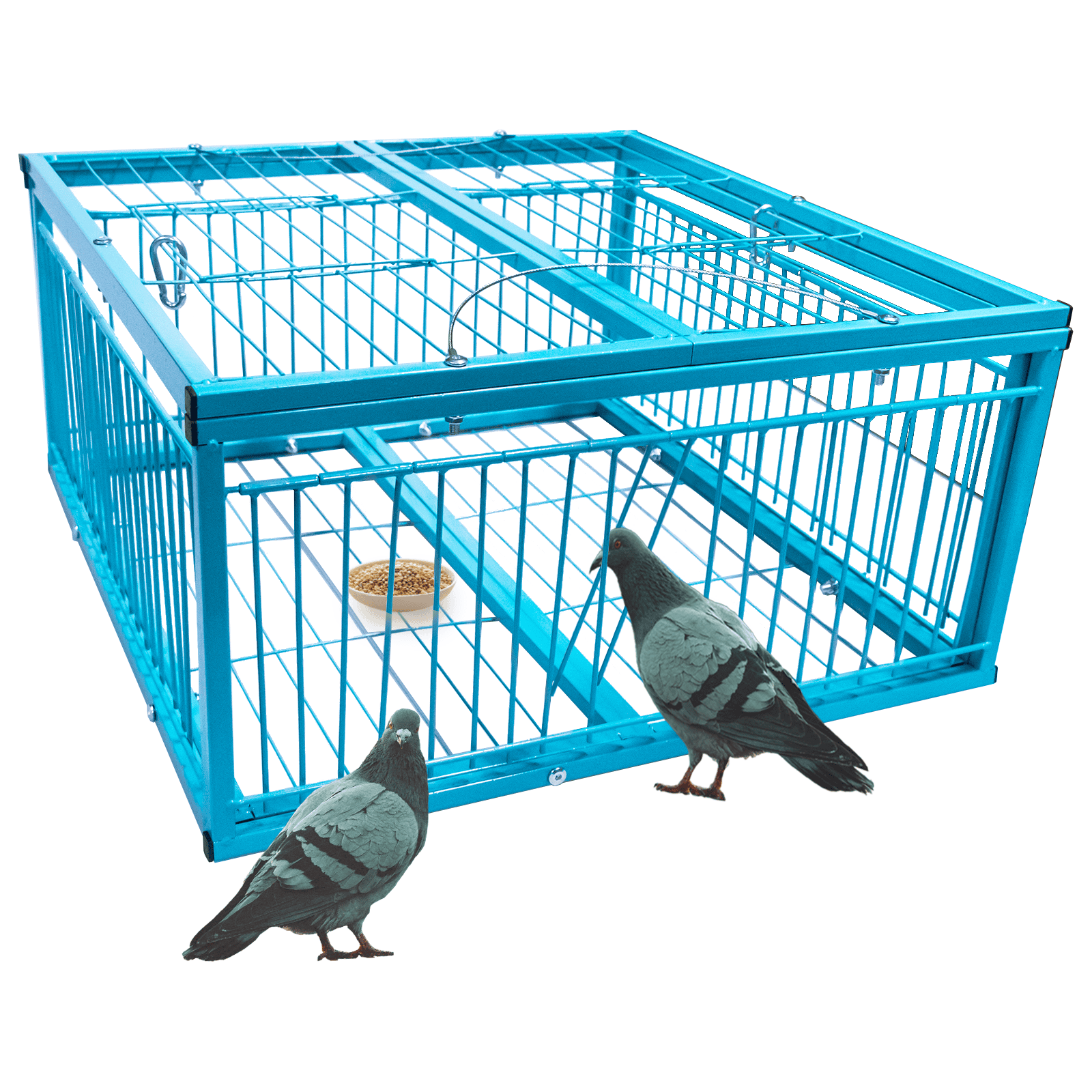第二套主图1 Large Pigeon Cage – Escape-Resistant, Automatic Entry Design | Durable Anti-Rust Bird Cage for Outdoor Use - Image 1