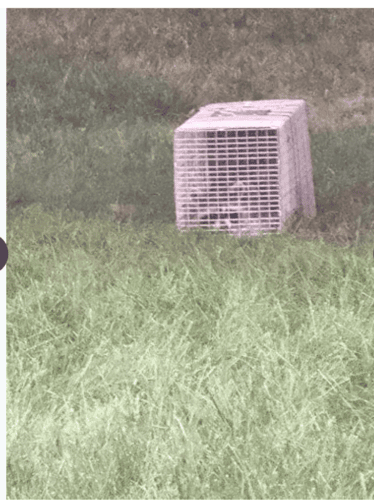 Heavy Duty Large Animal Cage – Folding, Humane & Secure for Coyotes, Foxes & Wildlife photo review